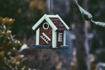 Rob Kamphues en zijn woonplaats: inspiratie uit Oostknollendam